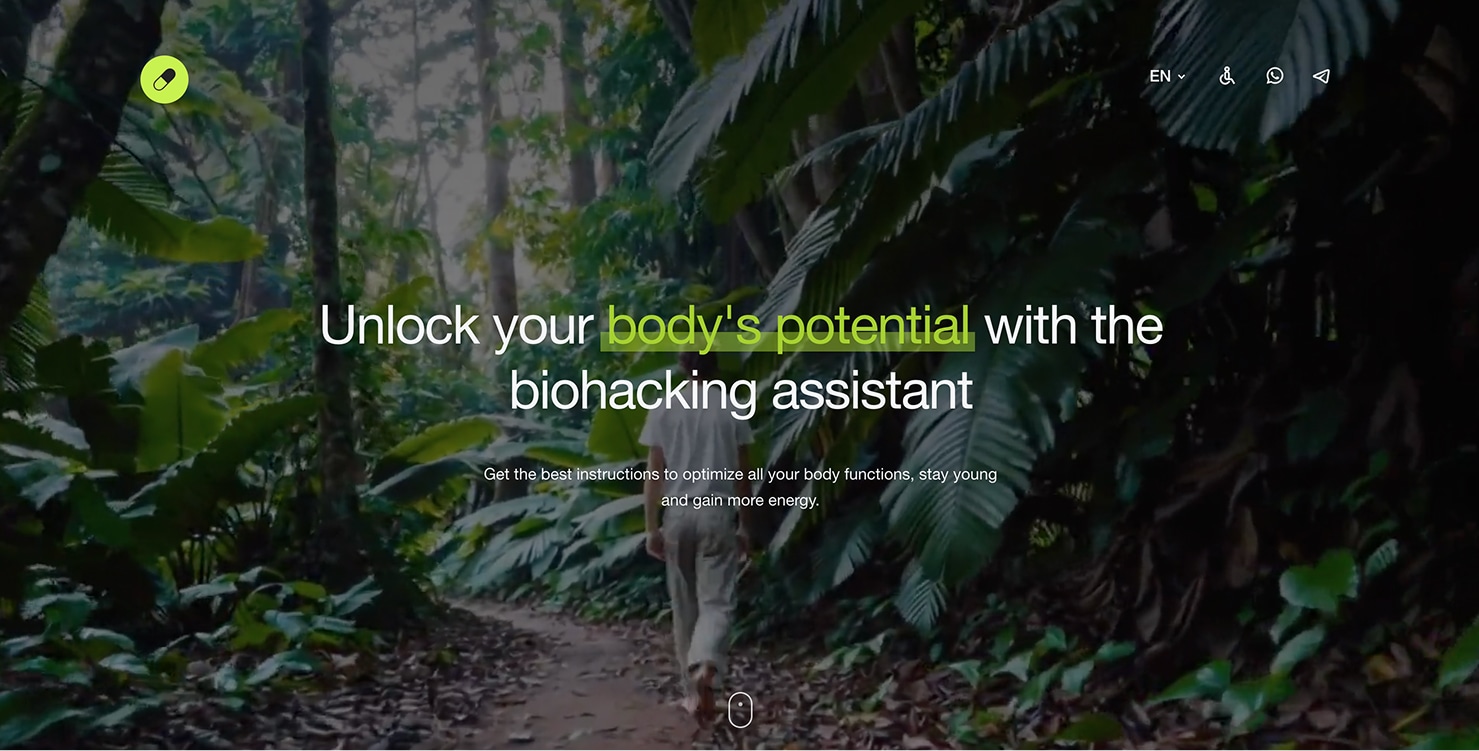 Subscription model Agent